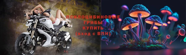 ПСИЛОЦИБИНОВЫЕ ГРИБЫ Алексеевка