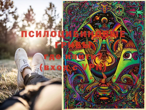 ПСИЛОЦИБИНОВЫЕ ГРИБЫ Алексеевка