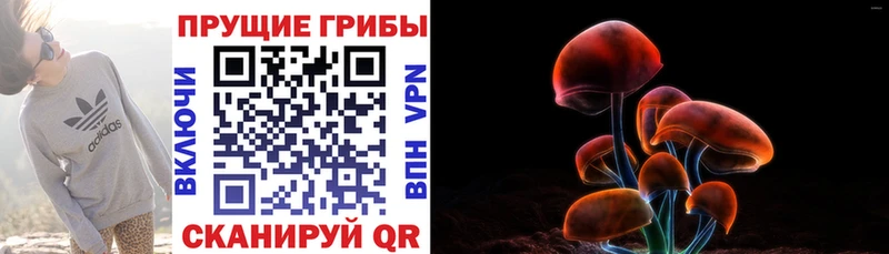 Галлюциногенные грибы GOLDEN TEACHER Нарьян-Мар