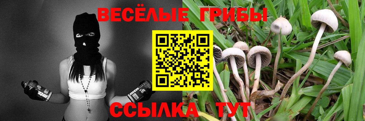 Нарьян-Мар  где продают наркотики  Вход с VPN  Псилоцибиновые грибы Magic Shrooms 